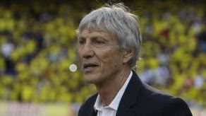 Mundial: Tres técnicos argentinos en Brasil 2014