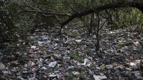Rio 2016: Piden análisis del agua de Río