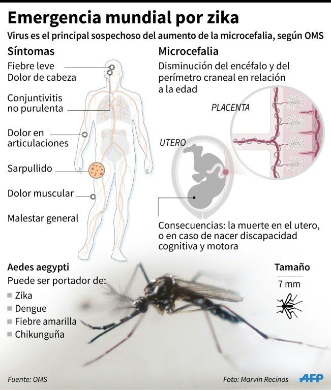 Brasil recomienda a las embarazadas no acudir a Rio-2016 por el zika