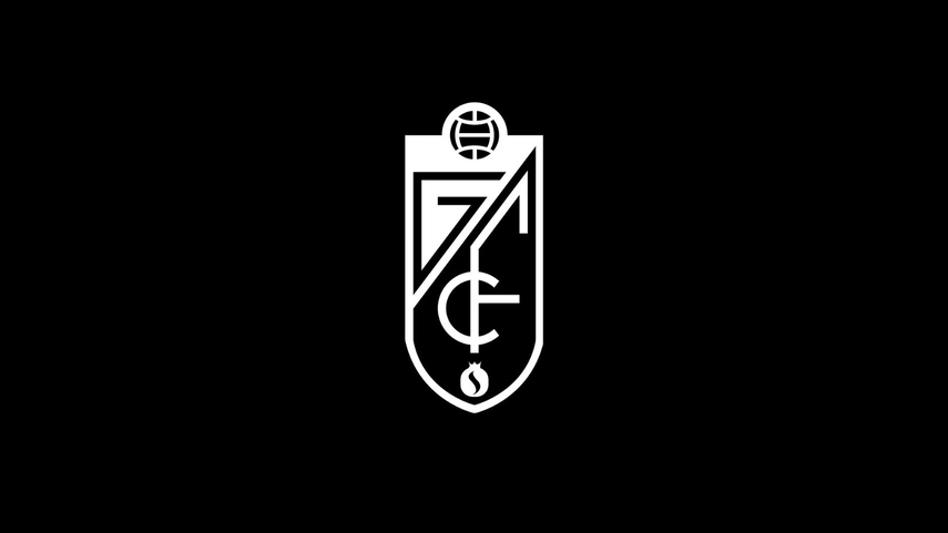 Granada-Athletic es suspendido por el fallecimiento de un fanático&nbsp;