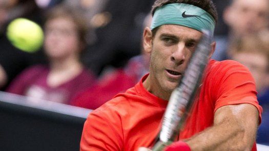 Del Potro no jugará en el torneo de Brisbane