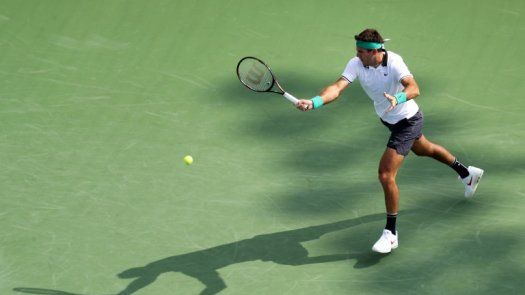 Del Potro cumple en su debut en Cincinnati en jornada suspendida por la lluvia