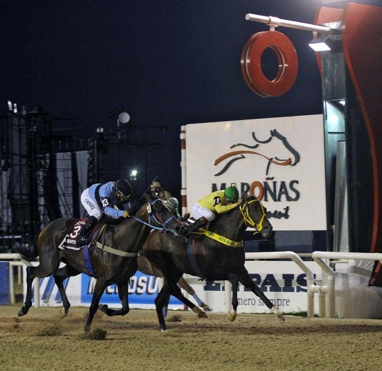 Brasileño Hielo conquista el clásico hípico Gran Premio Ramírez en Montevideo