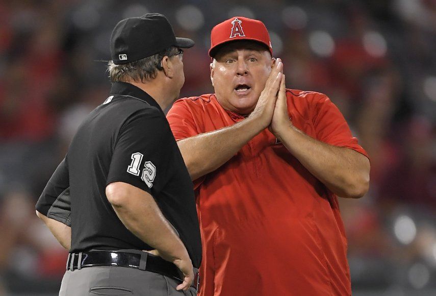 Scioscia niega rumores sobre su salida de Angelinos