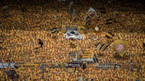 Multa y cierre parcial del estadio para el Dínamo Dresden por una cabeza de toro