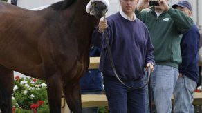 Super Saver sale favorito en el Preakness