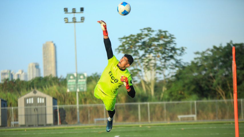 Selección de Panamá: En base a ese trabajo en el club