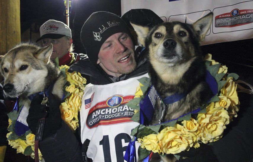 con cuantos perros tienes que acabar en el iditarod