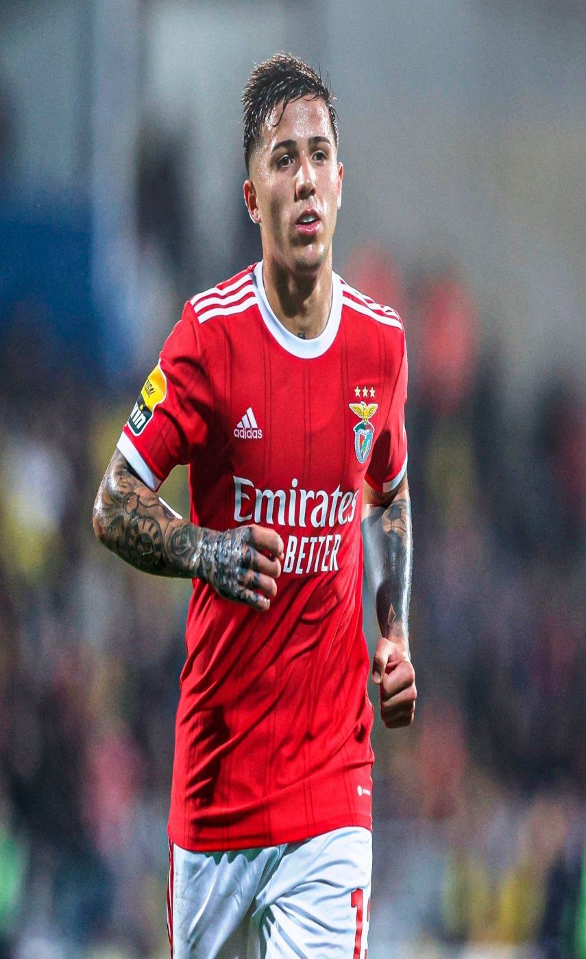 Enzo Fernández&nbsp;