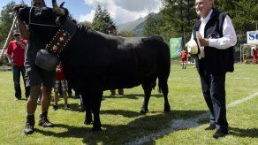 Blatter recibe vaca