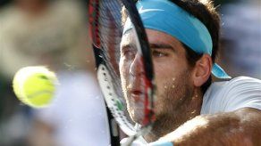 Del Potro vence a Raonic para coronarse en Tokio