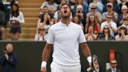 Del Potro se cita con Nadal en los cuartos de Wimbledon