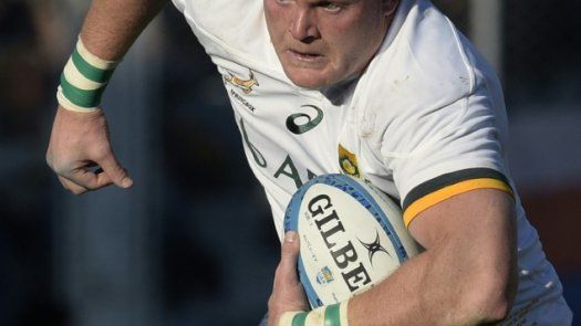 All Blacks reciben a Spingboks, a 35 años de bombas de harina contra apartheid