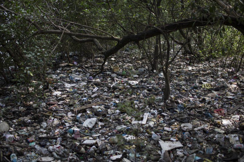Rio 2016: Piden análisis del agua de Río