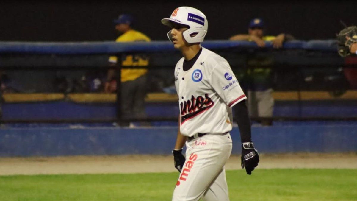 Rawlings | Bate De Béisbol De Madera Big Stick Elite | Juvenil - Perfil 151Y | Compuesto De Arce/bambú - 29 Pulgadas