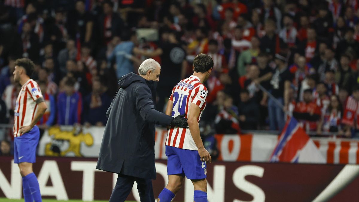 Robin Le Normand Robin Le Normand