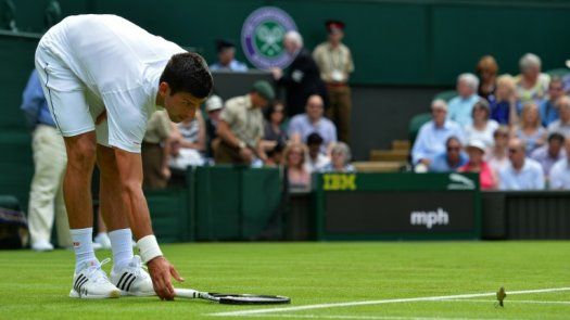 Djokovic en la final del Masters 1000 de Montreal