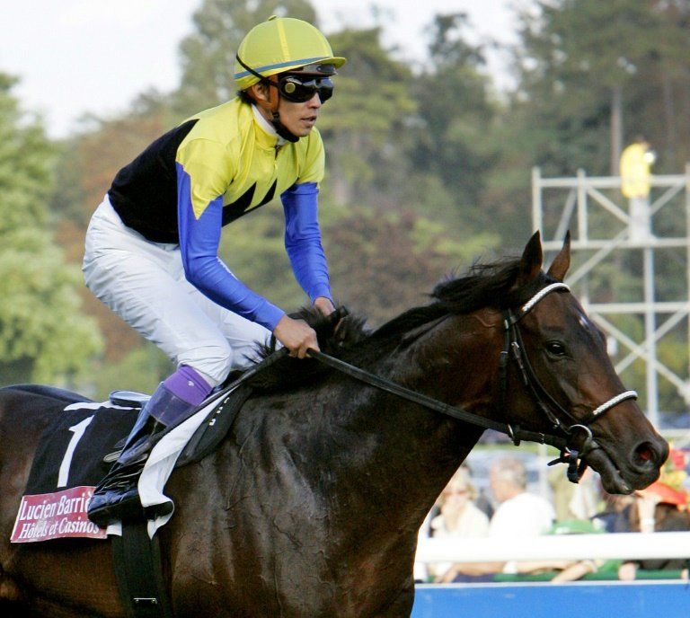 Sacrificado Deep Impact, uno de los mejores caballos de carreras de Japón