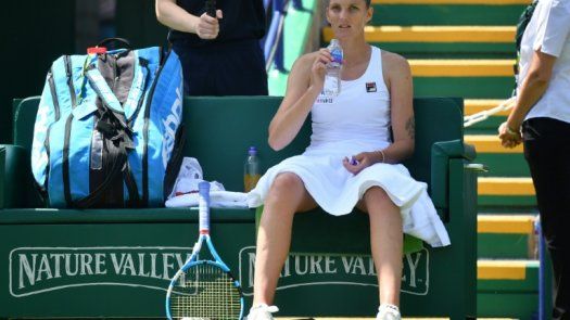 Kerber y Pliskova jugarán la final de Eastbourne