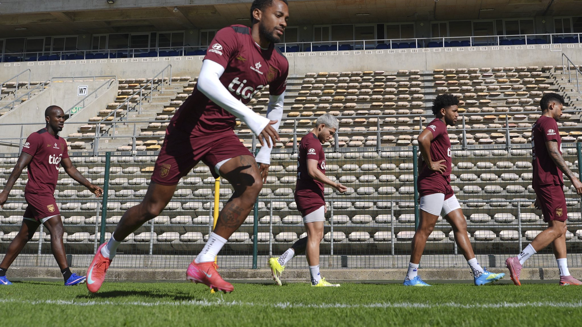 Selección de Panamá: FPF revela precios de boletos para partido de despedida