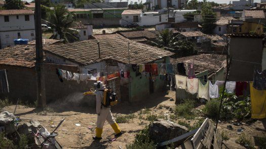 OMS: El zika preocupa pero Olimpiadas no deben aplazarse