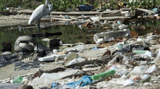 Jefes del COI prometen bucear en la contaminada bahía de Rio