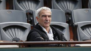 Ex seleccionador francés Domenech