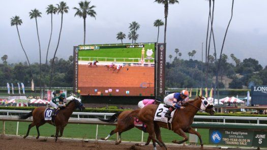 Expulsan entrenador de Santa Anita tras morir trigésimo caballo