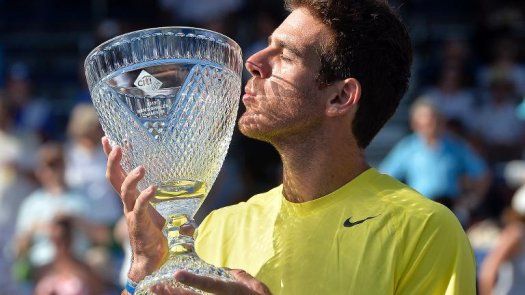 Del Potro confirma que se operará la muñeca izquierda