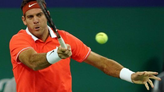 Del Potro cae en Delray Beach y se baja del Abierto Mexicano