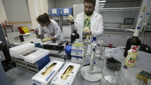 Parlamento ruso aprueba multas por dopaje
