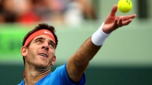 Del Potro se mete en la segunda ronda en Madrid