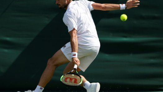 Españoles y latinos sufren en Wimbledon, Djokovic avanza tranquilo