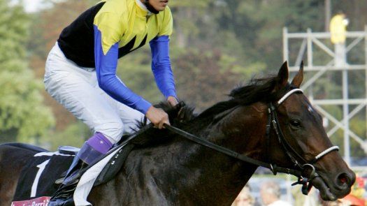 Sacrificado Deep Impact, uno de los mejores caballos de carreras de Japón