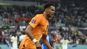 Cody Gakpo anotó el primer gol de Países Bajos.