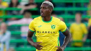 José Córdoba ingresó de cambio en derrota del Norwich City ante el Swansea