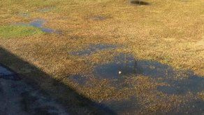 Terreno del Rico Cedeño está en malas condiciones