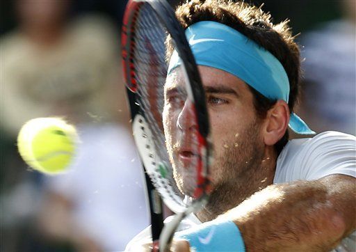 Del Potro vence a Raonic para coronarse en Tokio