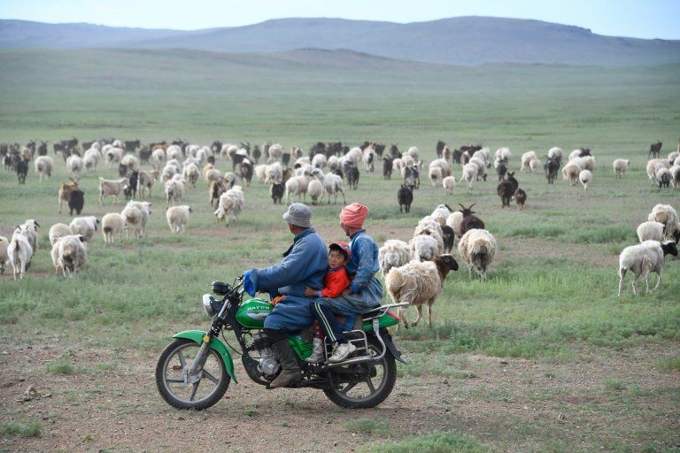 El Silk Way Rally ruge en las estepas de Mongolia