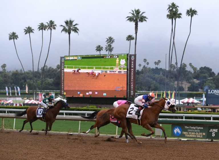 Expulsan entrenador de Santa Anita tras morir trigésimo caballo