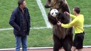Critican empleo de oso antes de partido de fútbol en Rusia