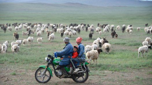 El Silk Way Rally ruge en las estepas de Mongolia