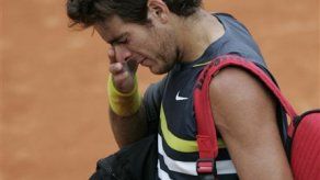 Del Potro quiere ser un í­dolo como Federer