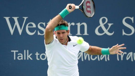 Del Potro sufre para avanzar a cuartos de Cincinnati; Federer acaba con Mayer