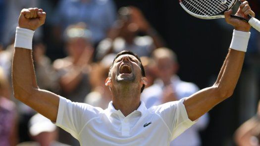 Djokovic vence a Nishikori y espera en semifinales al ganador del Nadal-Del Potro