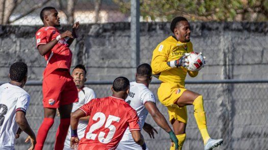 LPF: Unión Coclé vs Sporting SM se vio afectado por una invasión de abejas LPF: Unión Coclé vs Sporting SM se vio afectado por una invasión de abejas