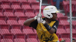 Fedebeis revela calendario para Campeonatos Menores