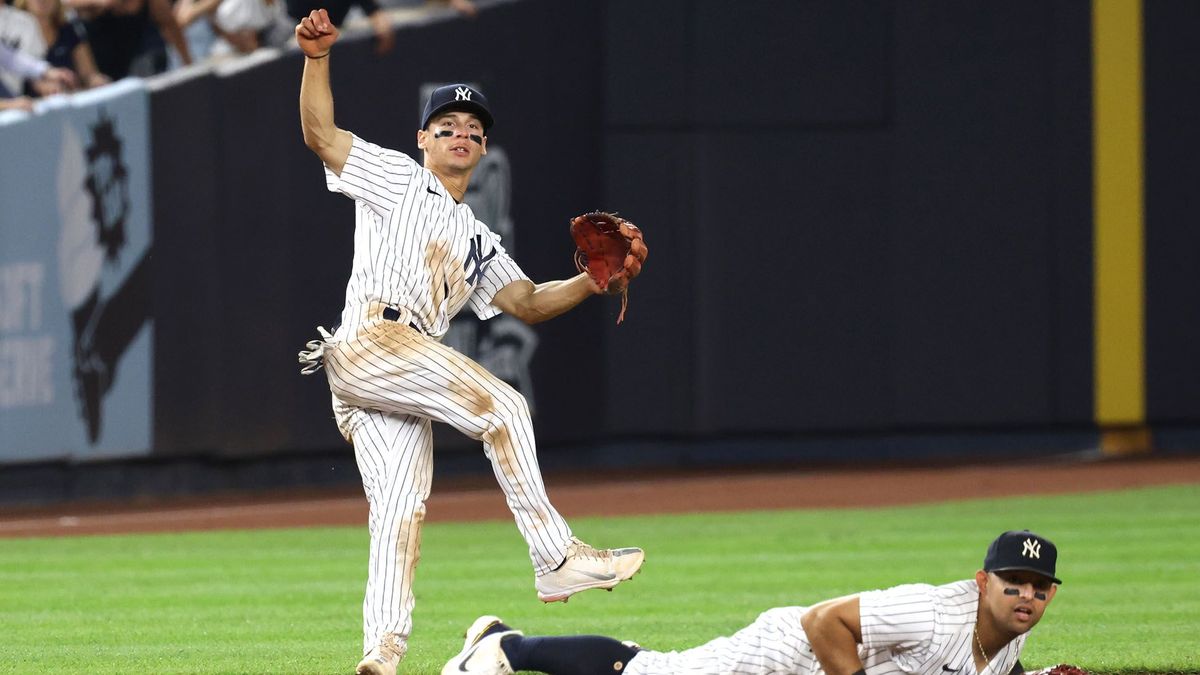 Andrew Velazquez New York Yankees Team Issued #71 Navy Batting Helmet from  the 2021 MLB Season