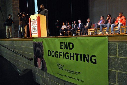 Vick habla de peleas de perros en Connecticut