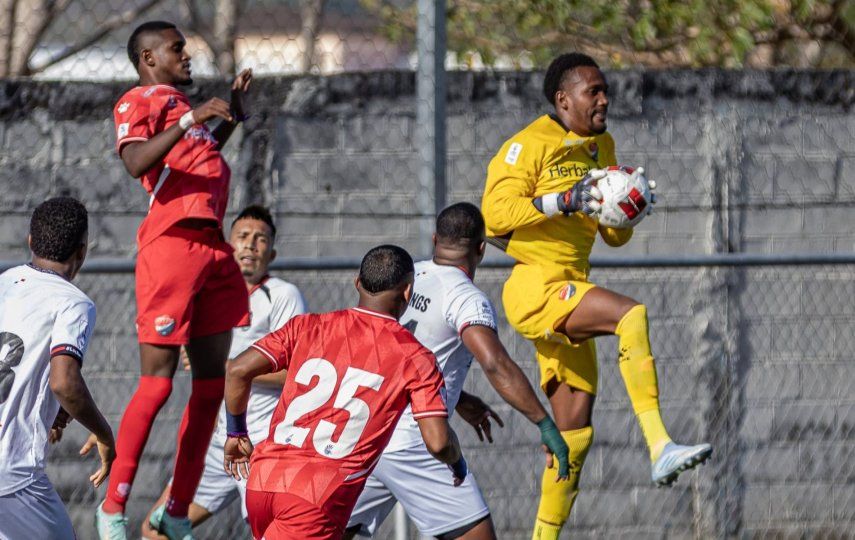 LPF: Unión Coclé vs Sporting SM se vio afectado por una invasión de abejas